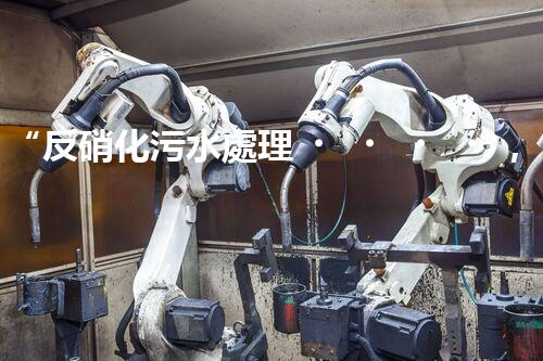 “反硝化污水處理，綠色環(huán)保新篇章”